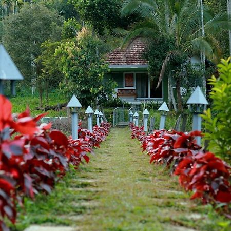 Ayurnest Pool Resort Wayanad Batheri Buitenkant foto