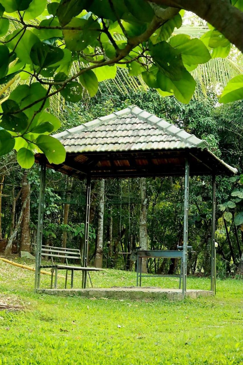 Ayurnest Pool Resort Wayanad Batheri Buitenkant foto