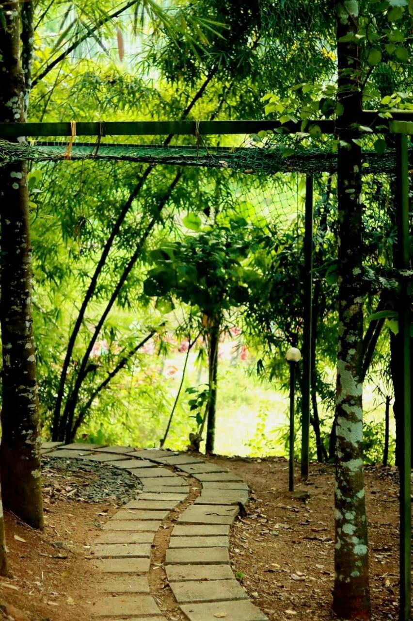Ayurnest Pool Resort Wayanad Batheri Buitenkant foto